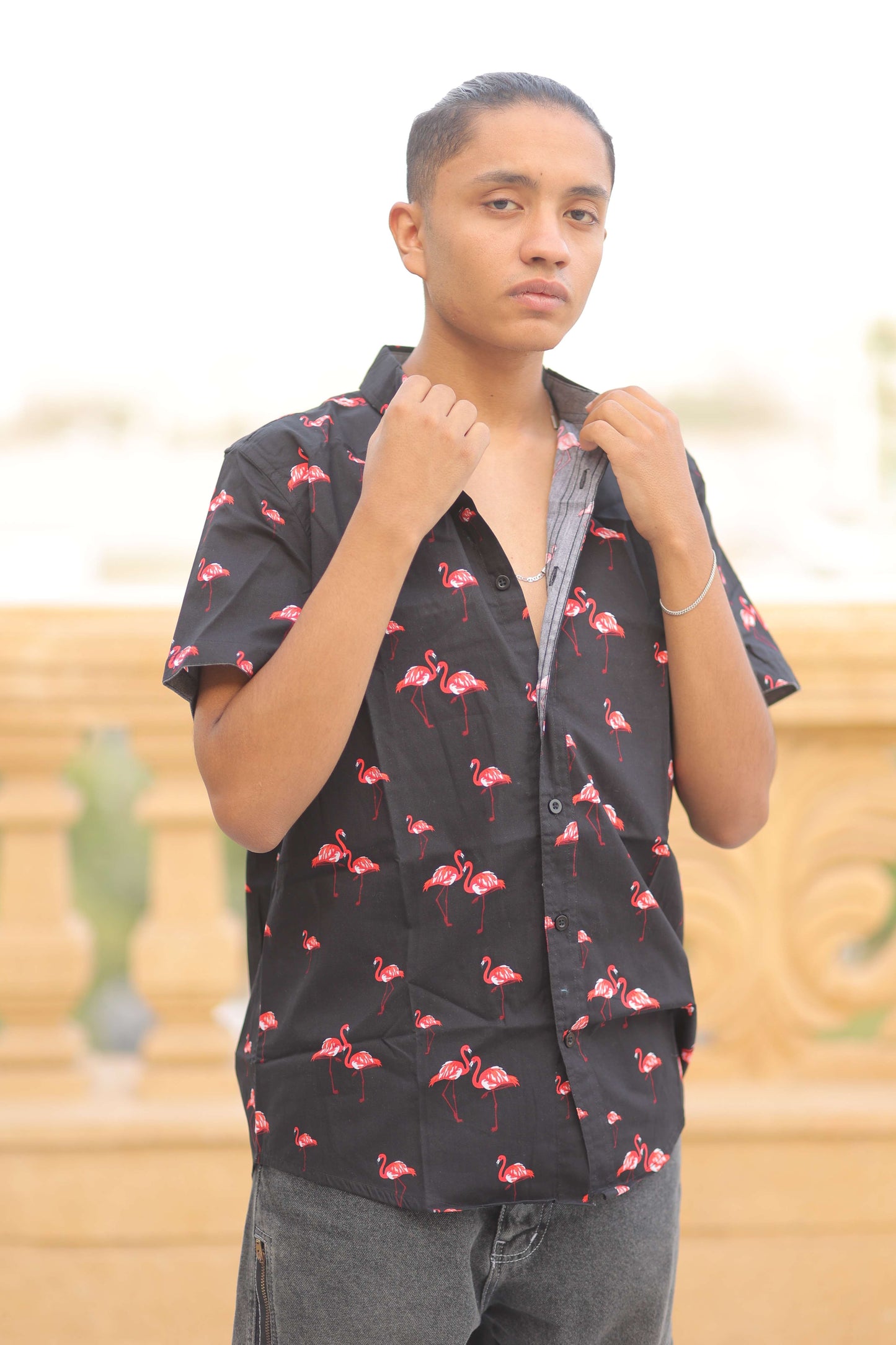 Modern Culture Flamingo Black Men's Shirt - M